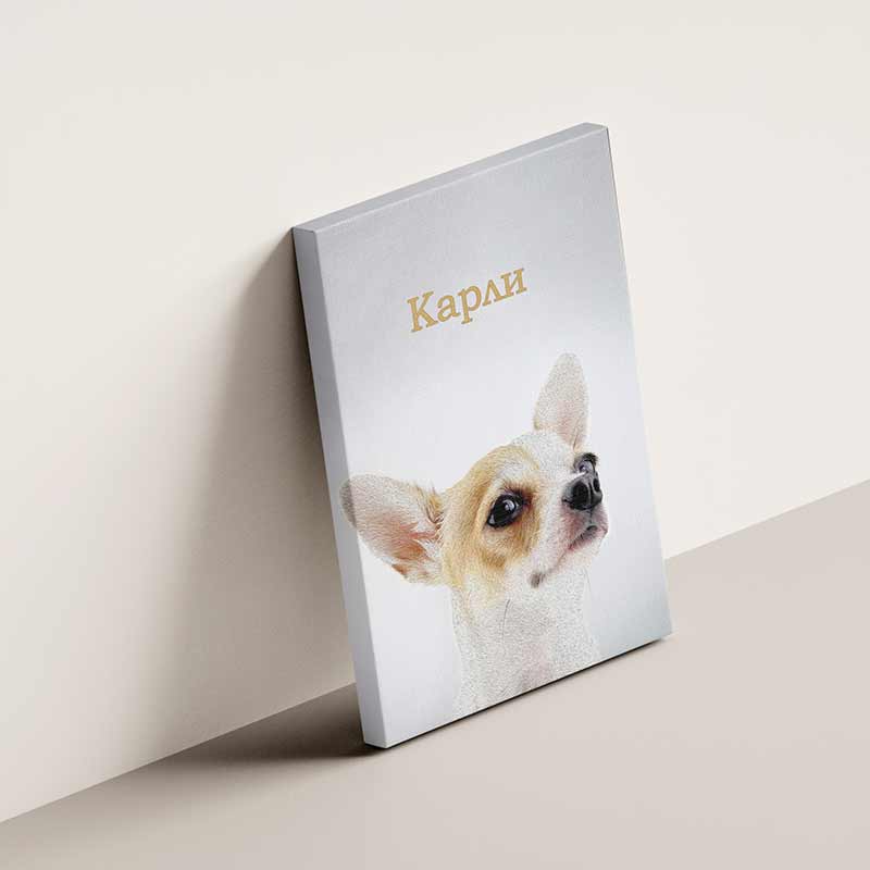 Кучешки портрет на канава - Image 6